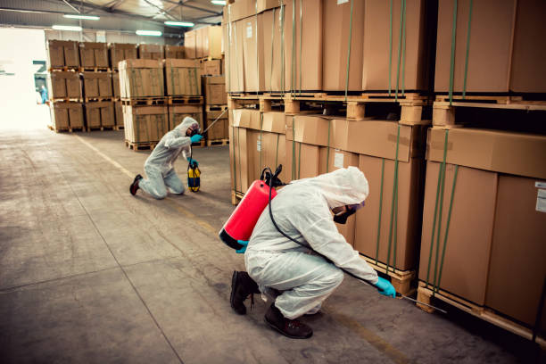Trusted Piedmont, SC Pest Control Experts